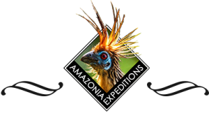 Amazonia Expeditions Logo