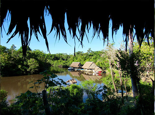 amazon canopy tours