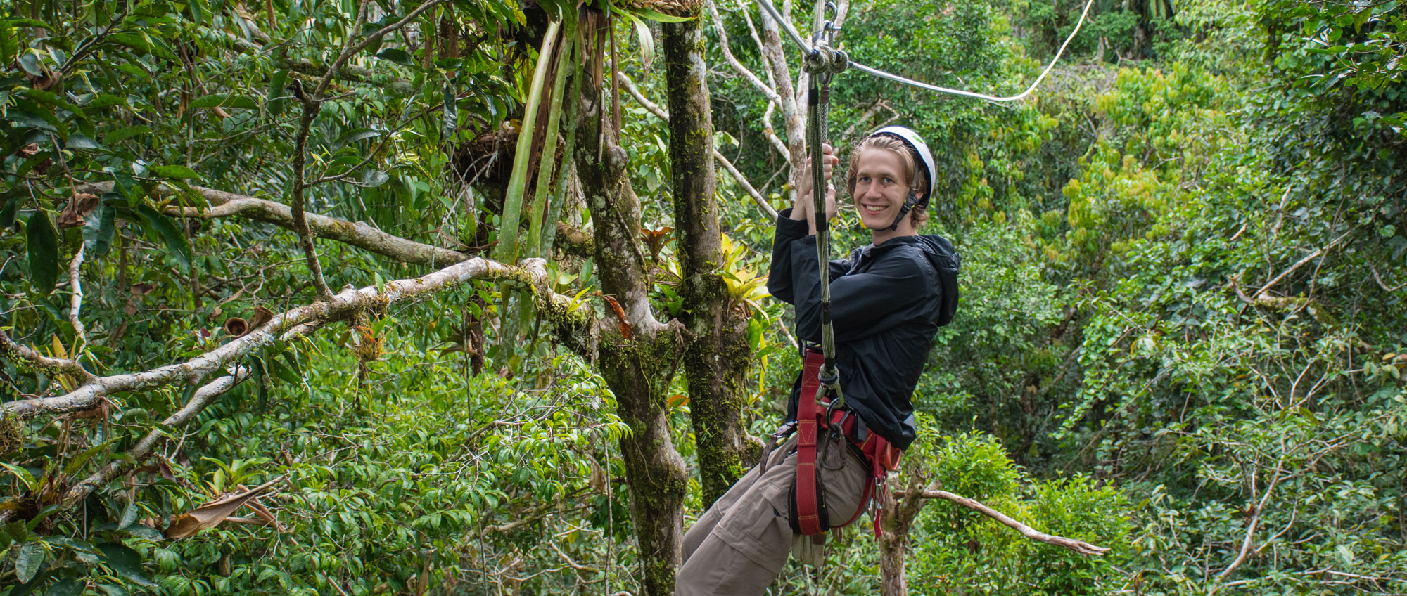 amazon canopy tours