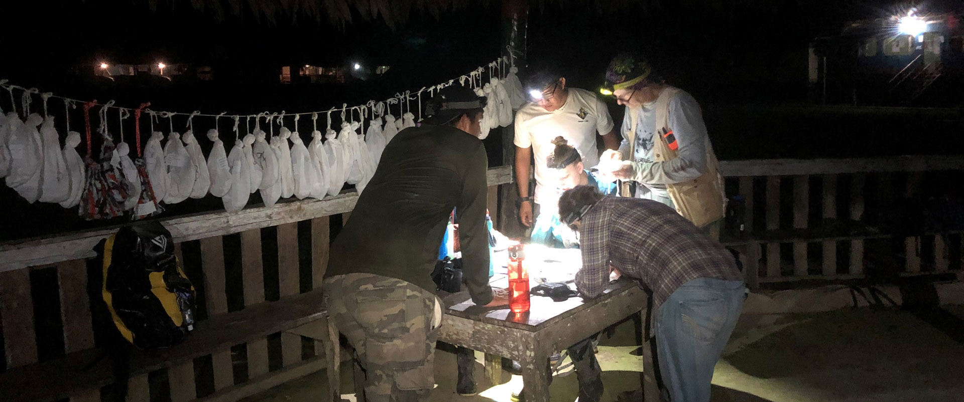 Researchers studying bats in a lodge in Chino Village