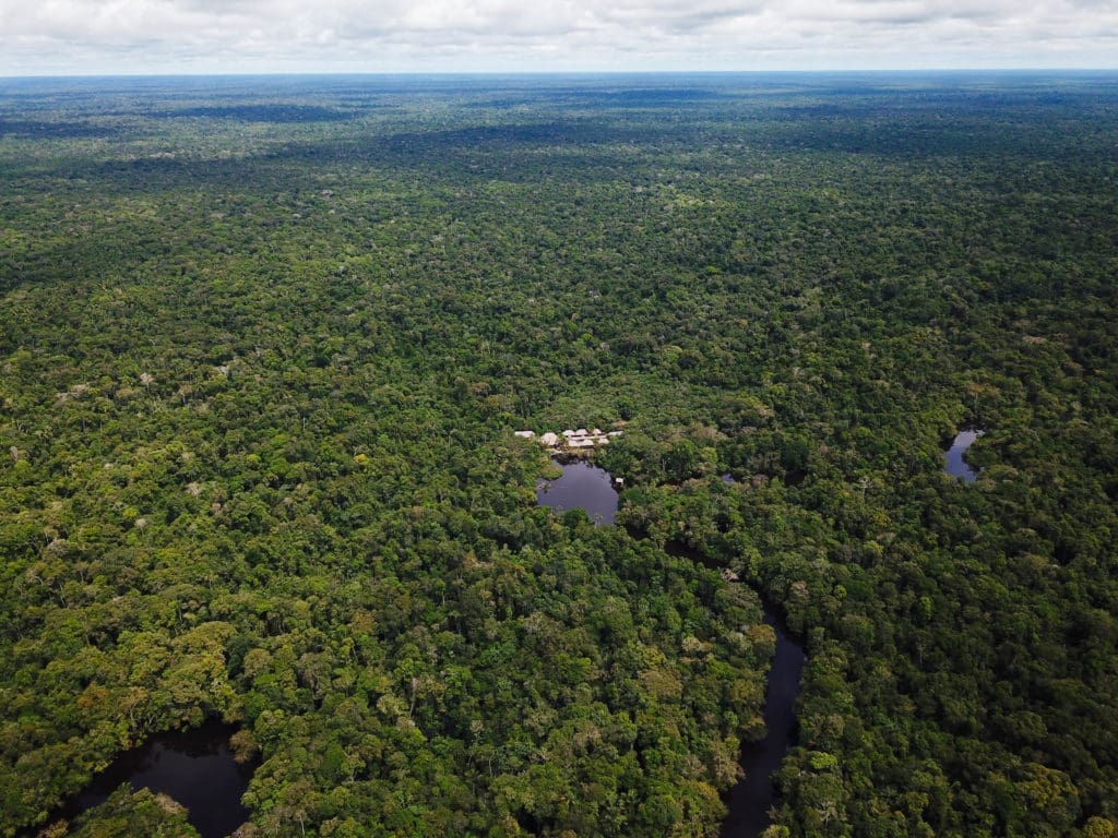 #4 · Amazonia Expeditions